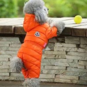 Moncler dog puffer coat size xs will fit a small dog up to 7lbs